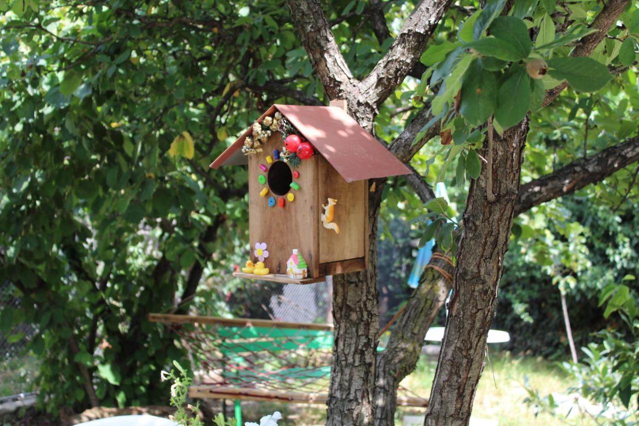 Guest House Poligloti Telavi Bagian luar foto