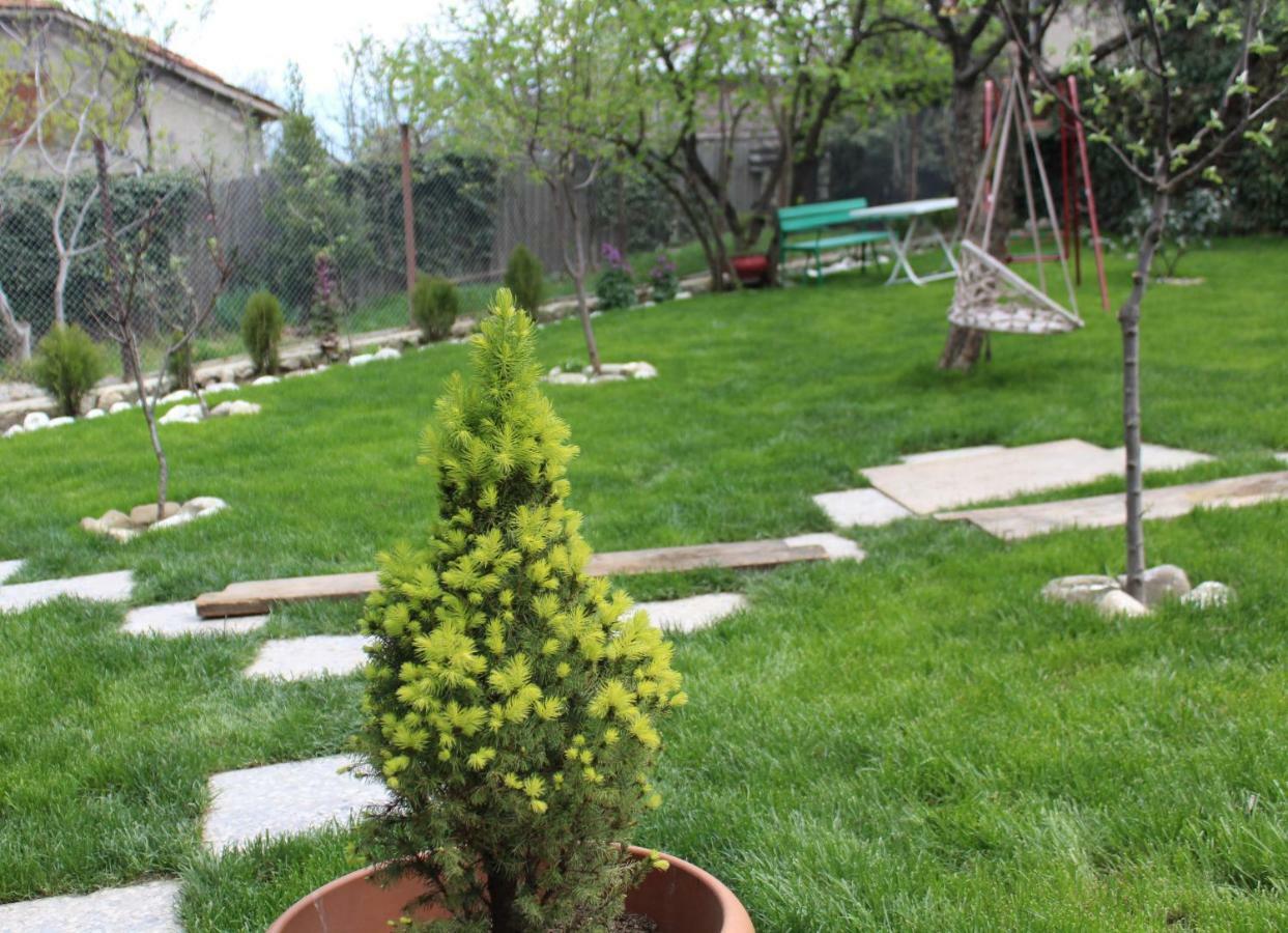 Guest House Poligloti Telavi Bagian luar foto