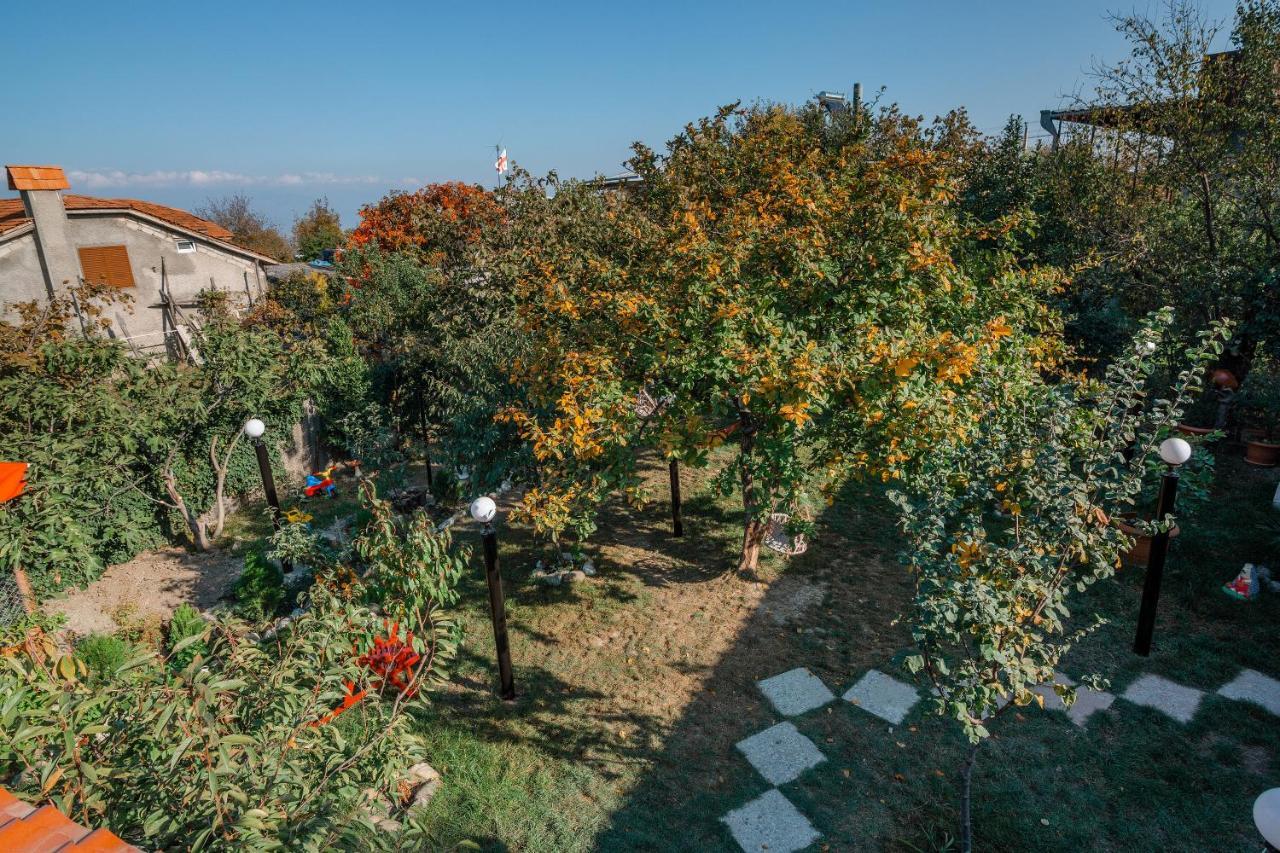 Guest House Poligloti Telavi Bagian luar foto